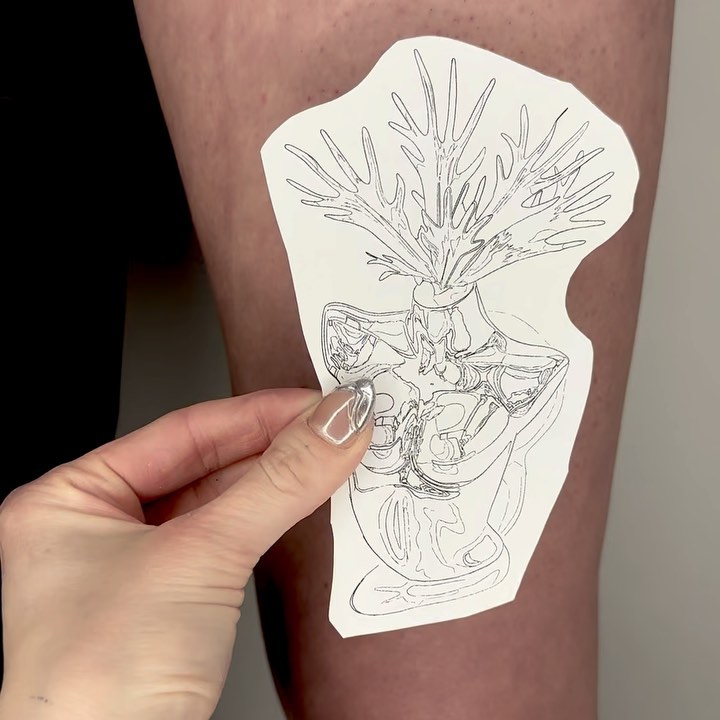 plantsnpokes