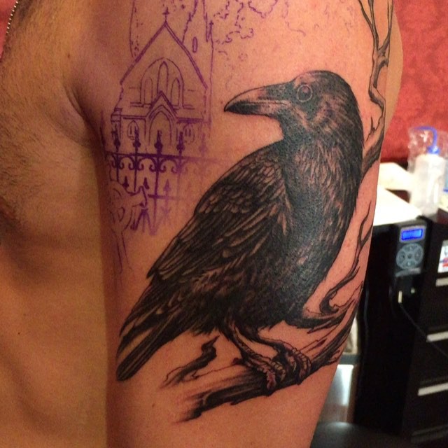 Animal