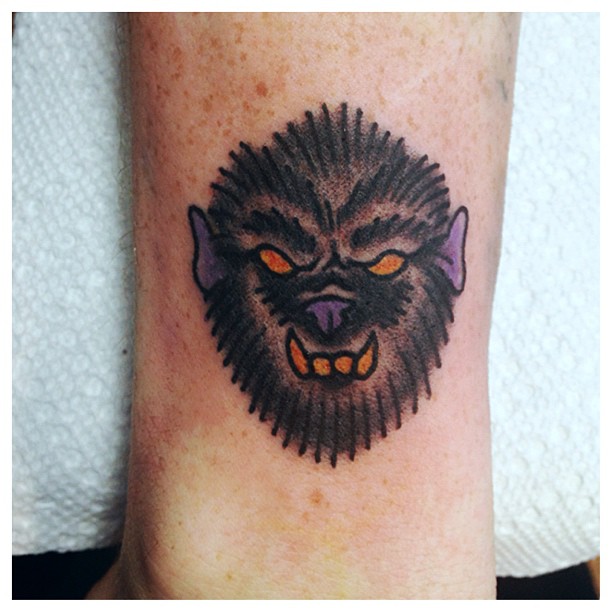 Animal, Tiger