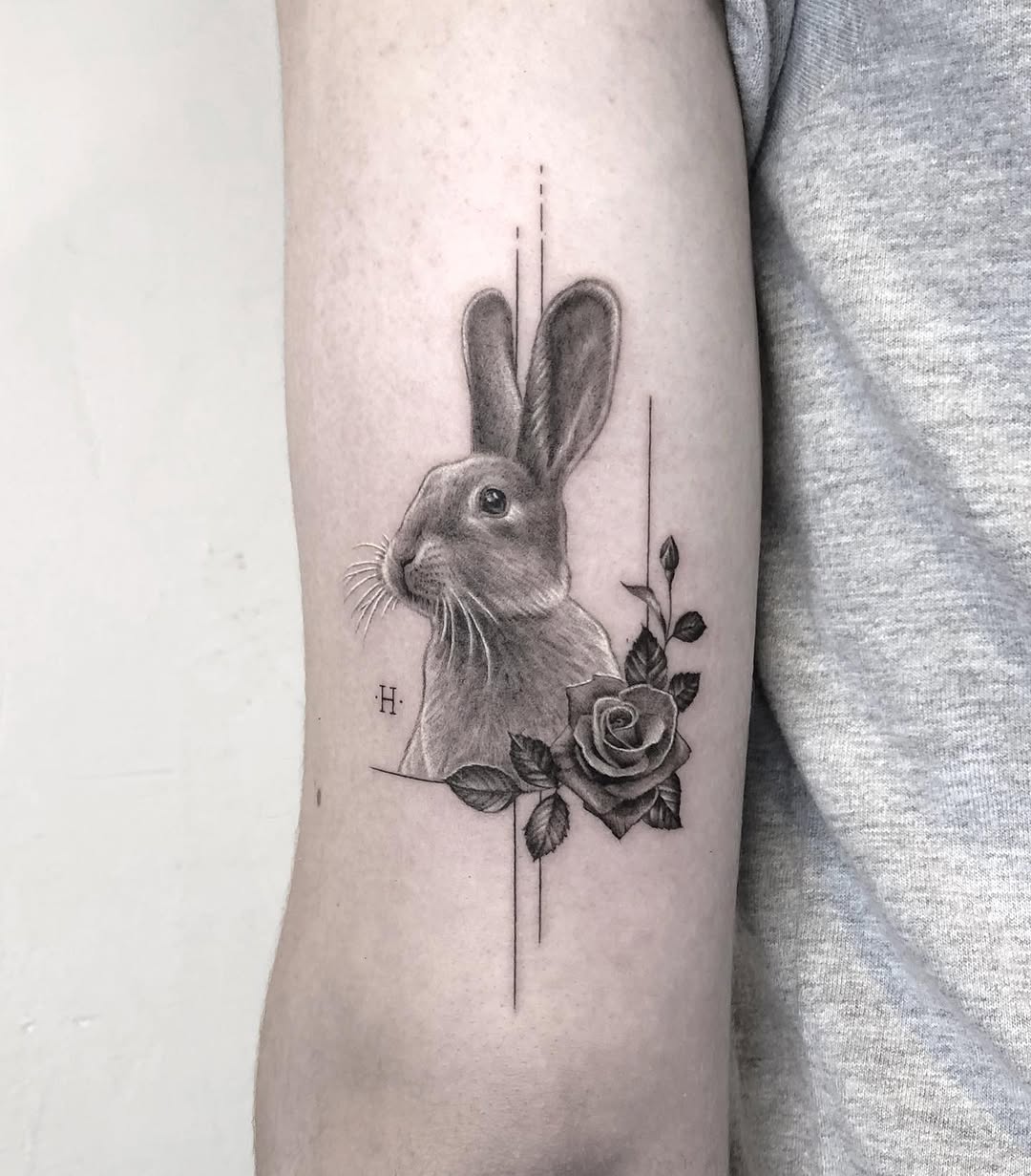 Animal, 토끼