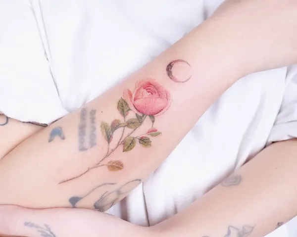 Flower, Rose