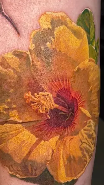 Flower, Nature