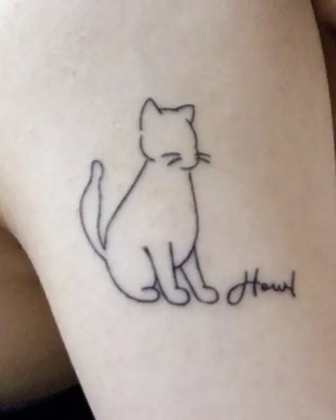 Animal