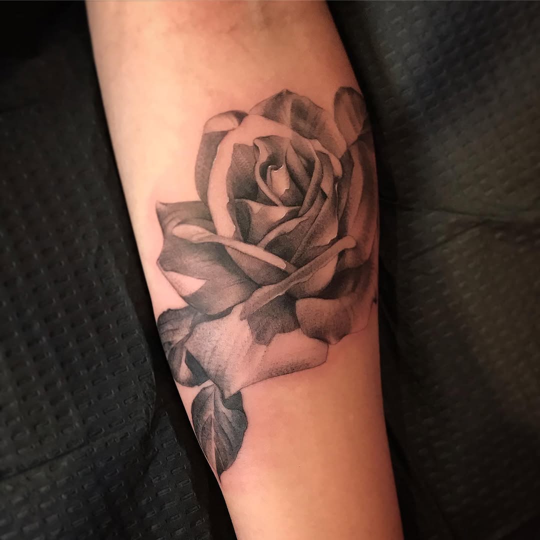 Flower, Rose