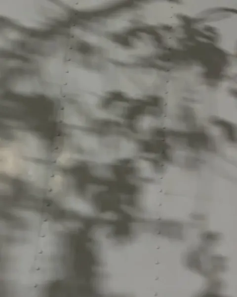 mistertroshin