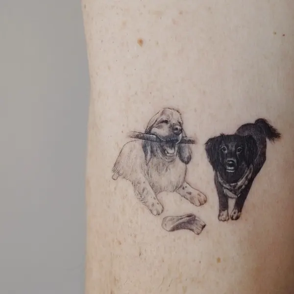 Animal