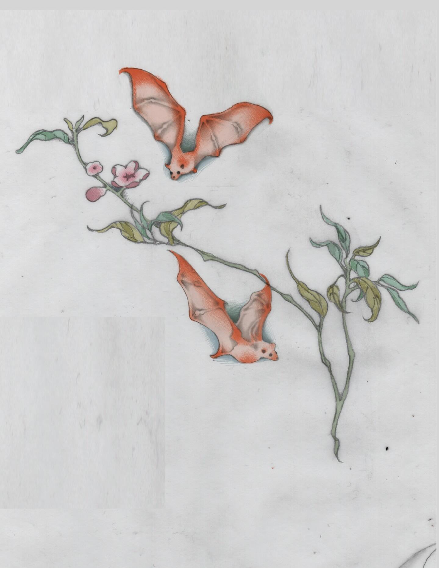 cymatic.garden