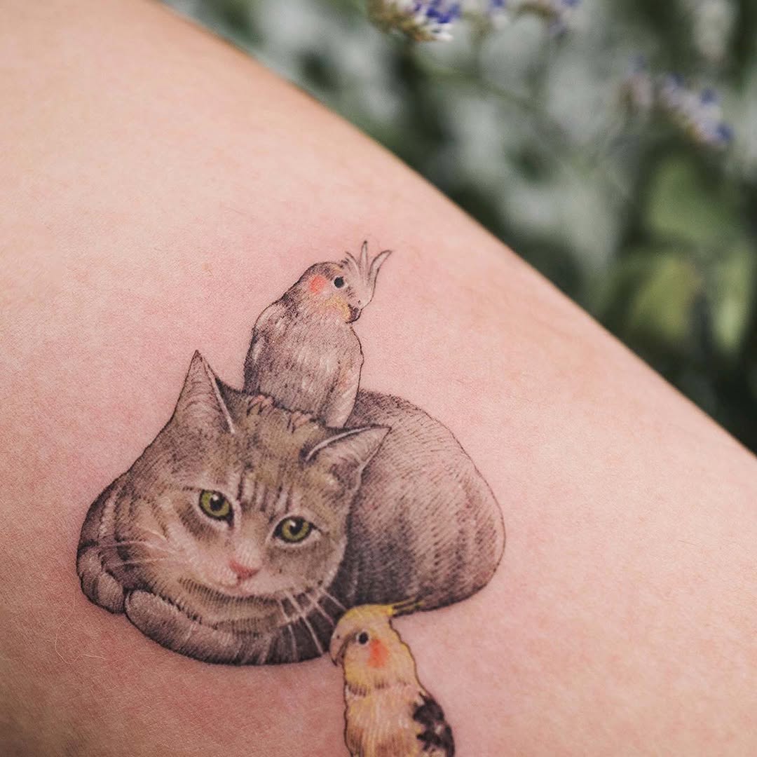 soltattoo