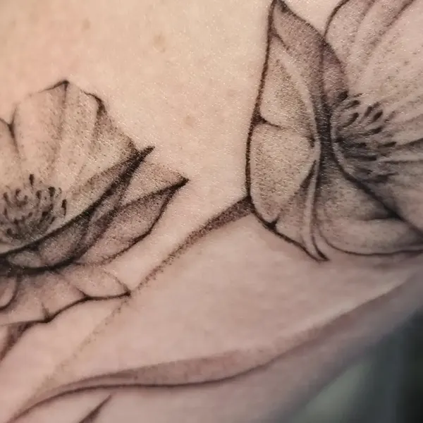 Rose, Flower