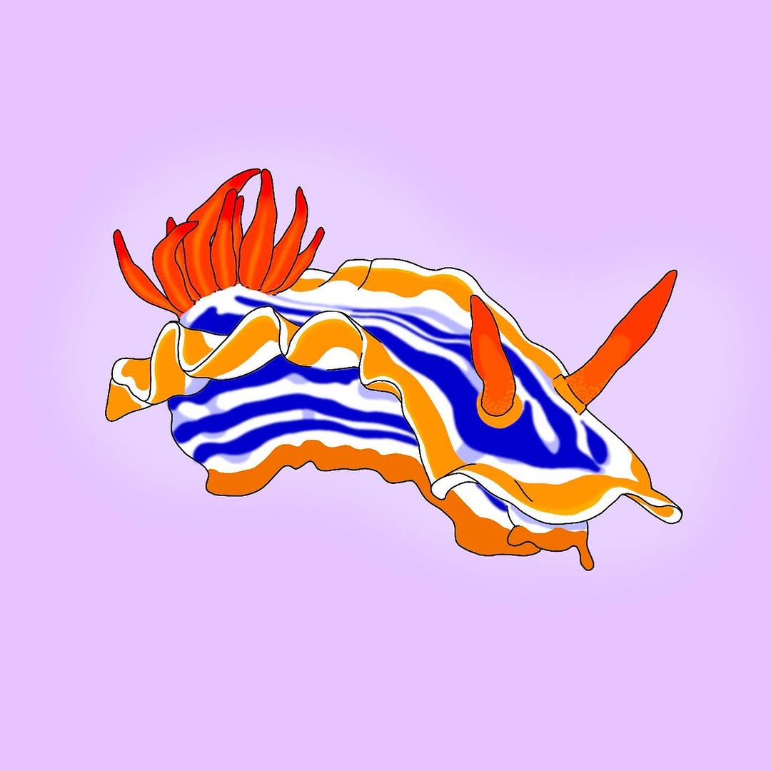 happyfishhead