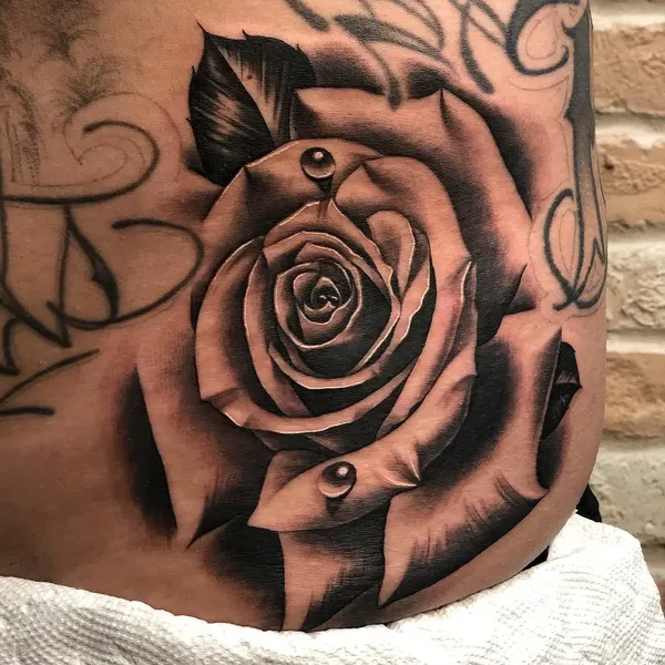Flower, Rose, Nature