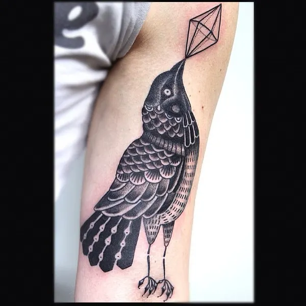Animal
