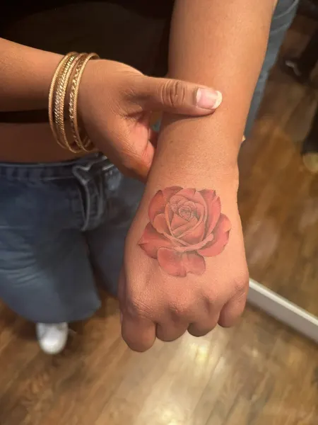 Flower, Rose