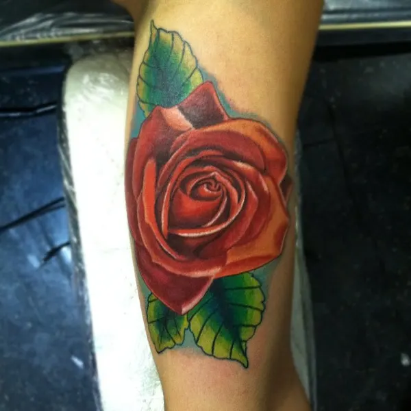 Flower, Rose