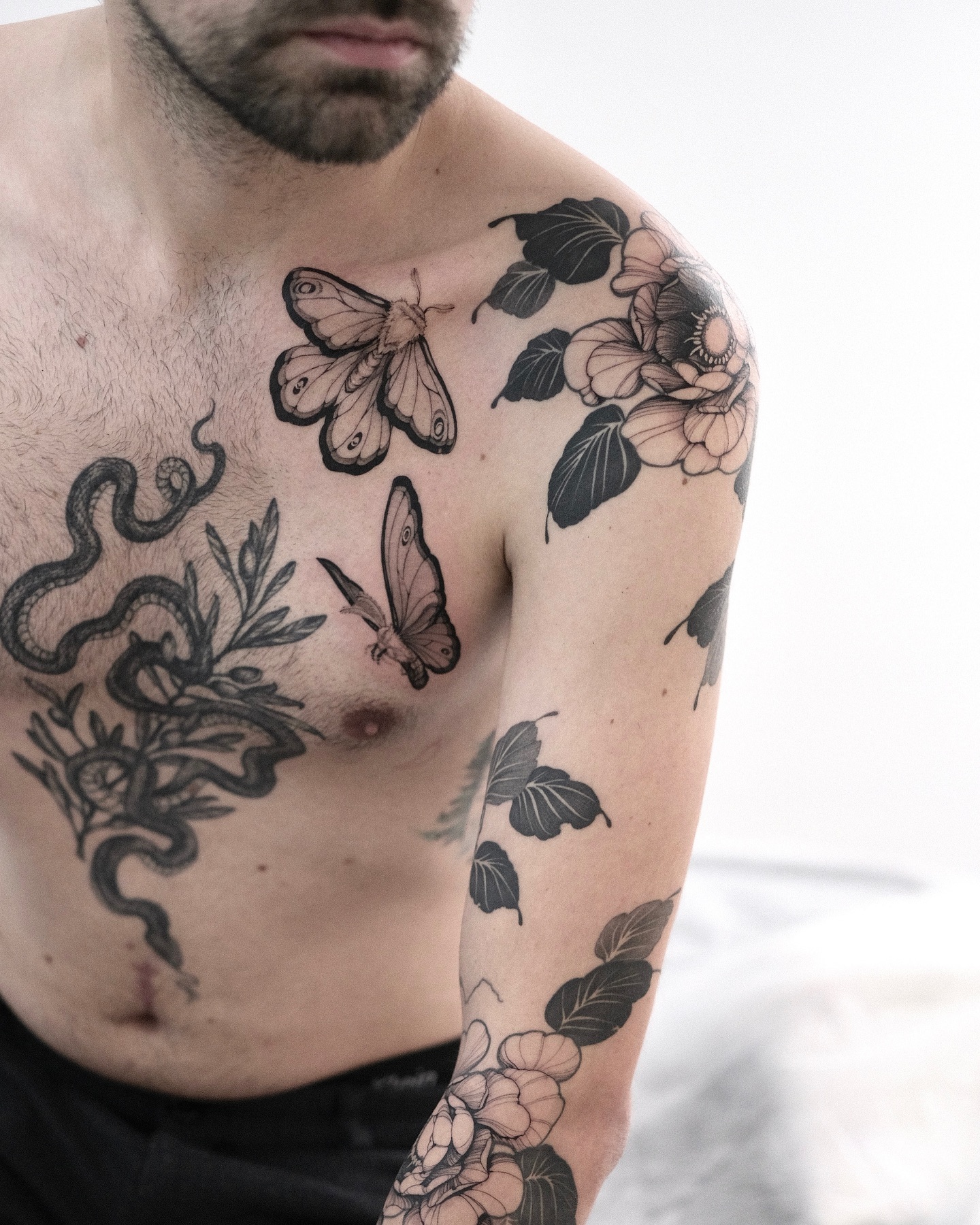 Flower, Rose, Nature
