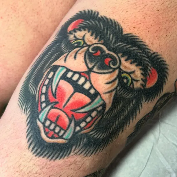 Tiger, Animal