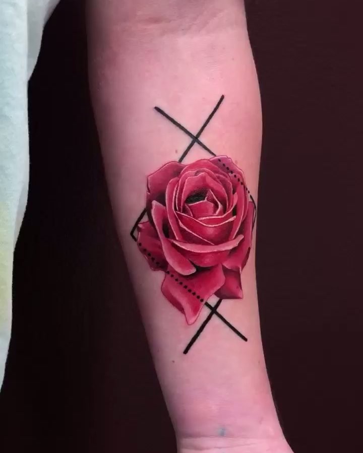 Flower, Rose