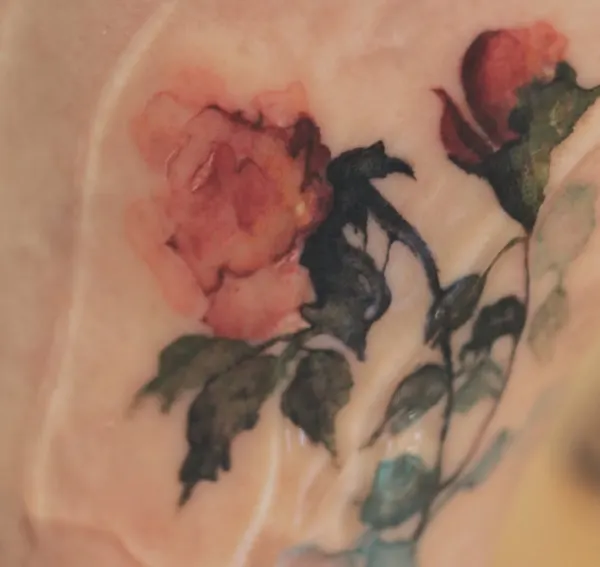 Flower, Rose