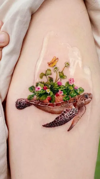 바다거북, 거북이