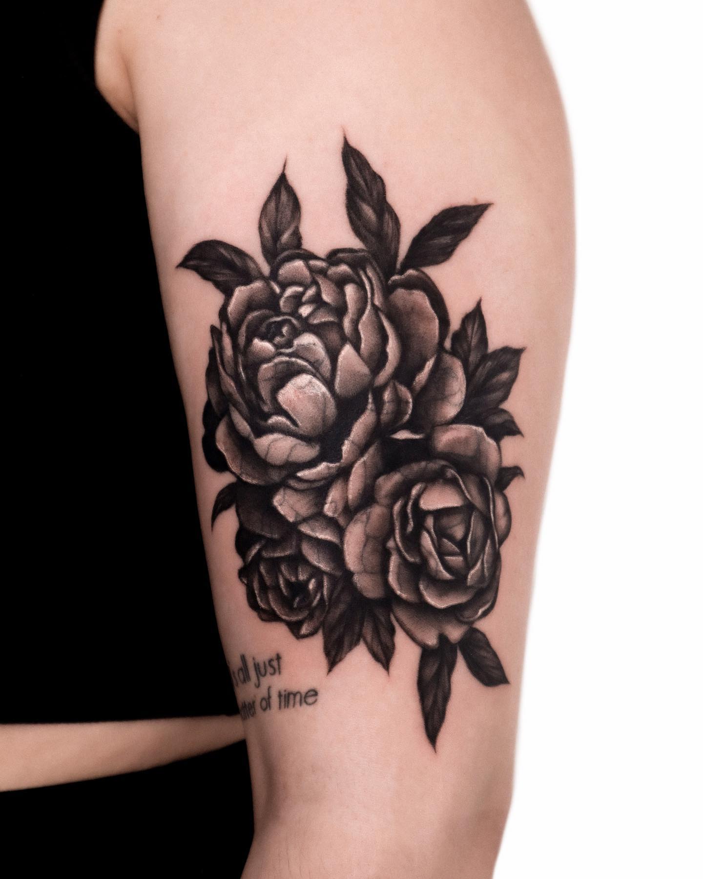 Flower, Rose, Nature