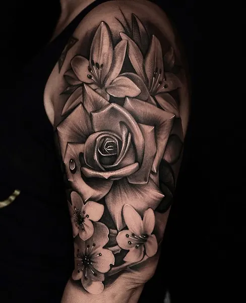 Flower, Rose