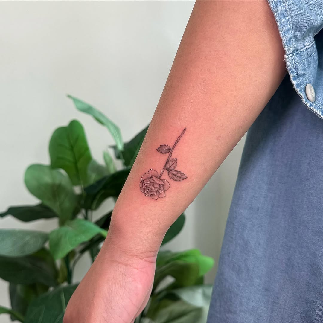 Flower, Rose
