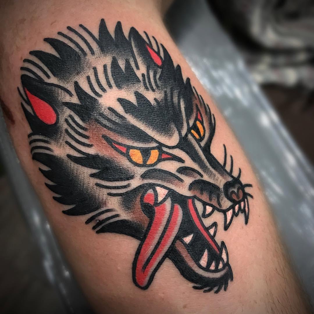 Tiger, Animal
