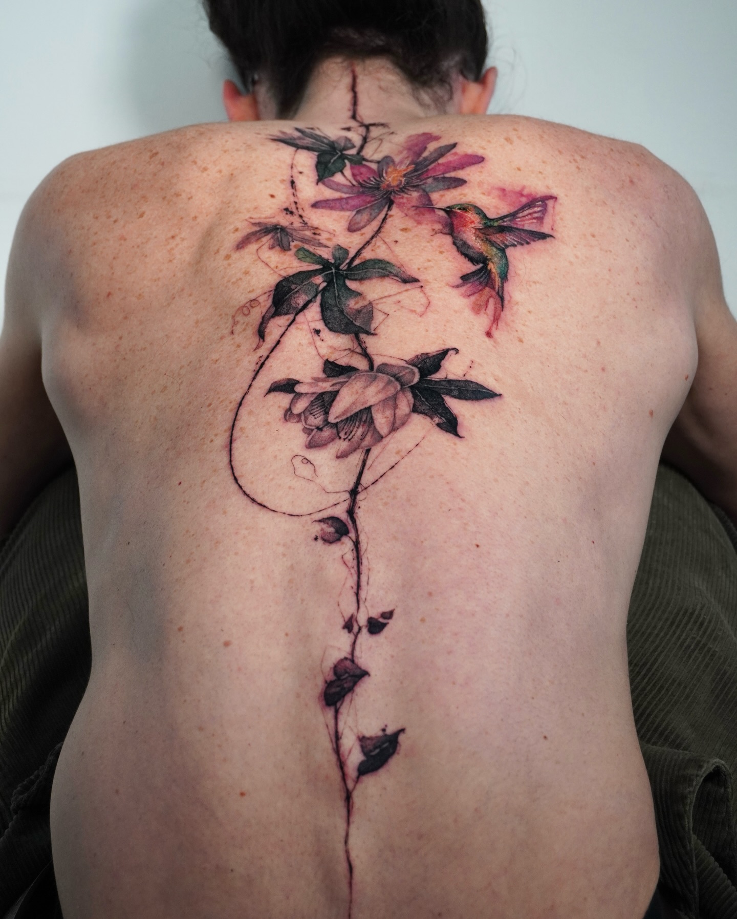 Flower, Nature, Rose