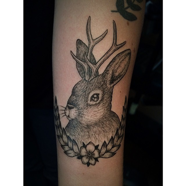 Animal