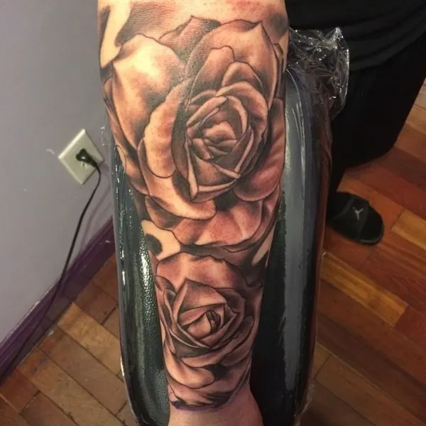 Flower, Rose