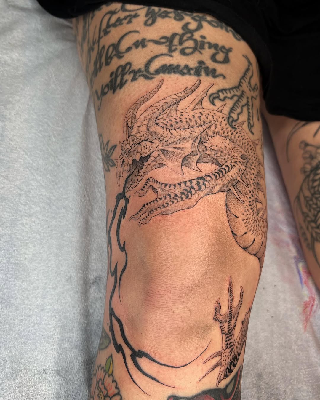 Dragon