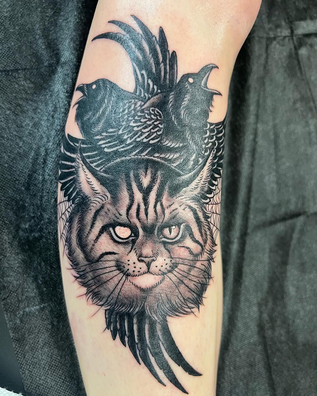 Tiger, Animal