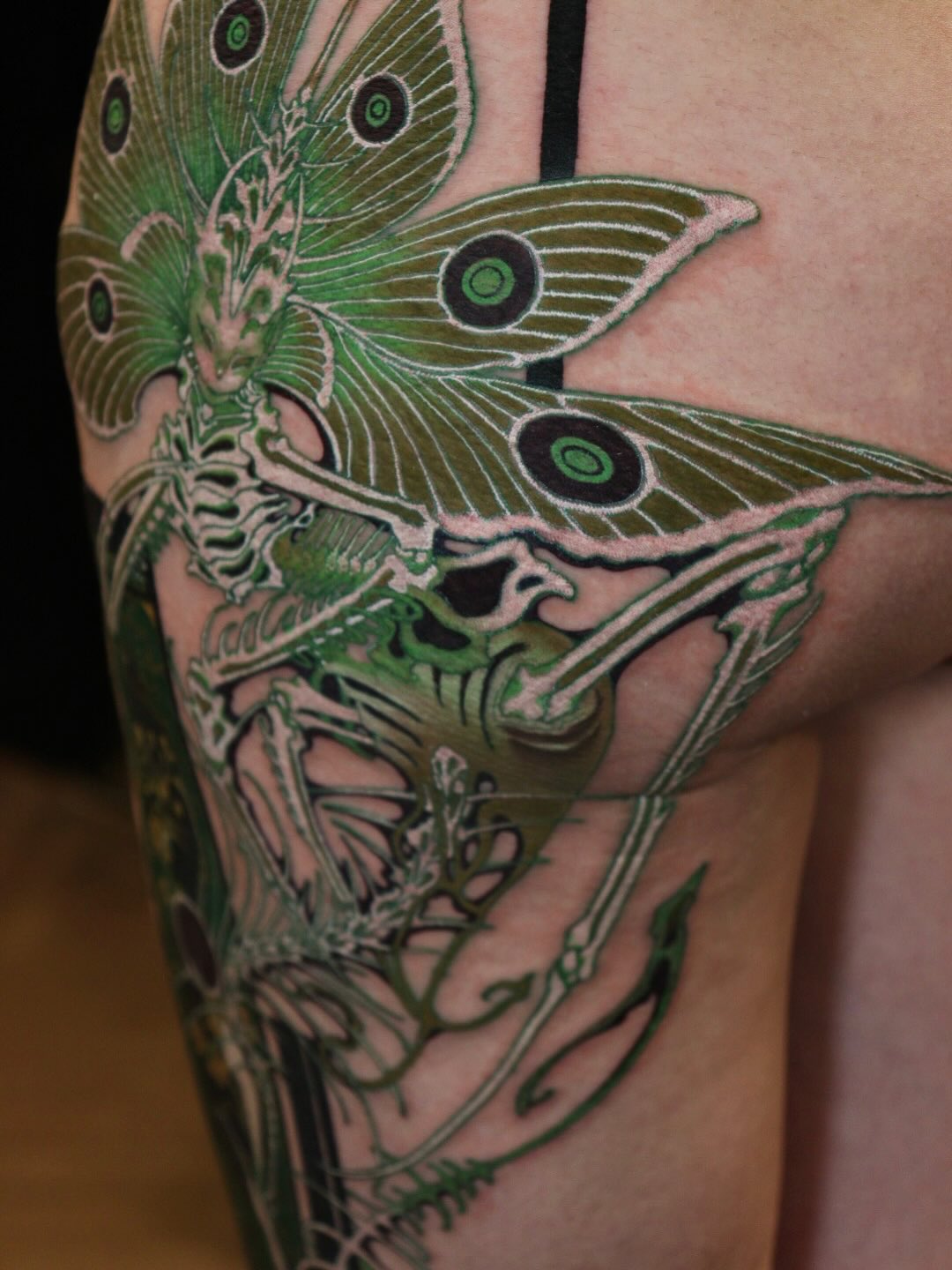 mothing.dan