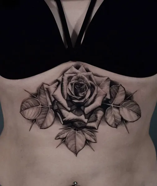 Flower, Rose, Nature