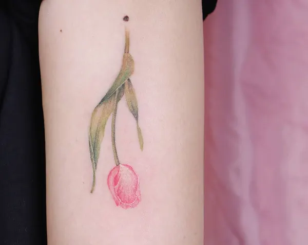 Flower, 체리, 포도