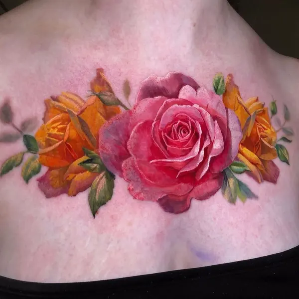 Flower, Rose, Nature