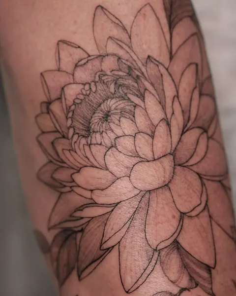 Flower, 목련, 한국 연꽃, 연꽃