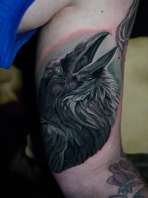 Animal