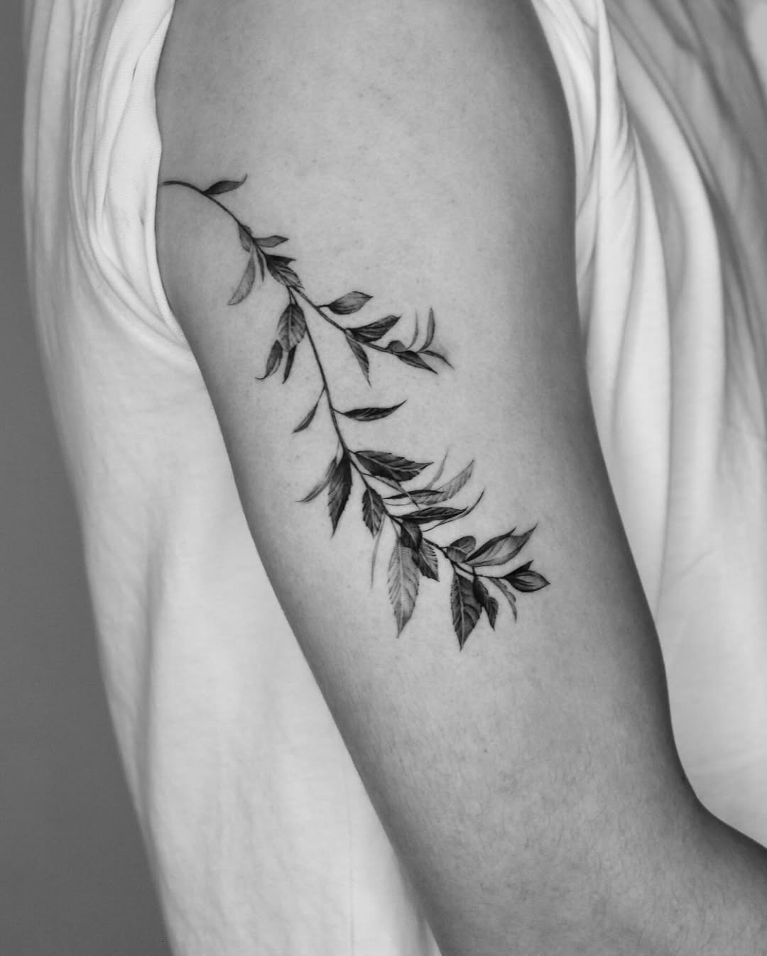40.tatt