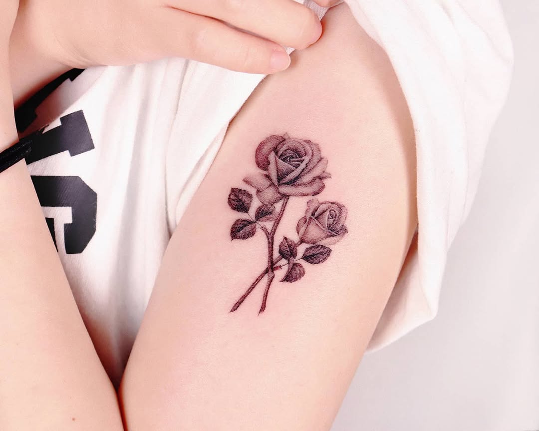 Flower, Rose