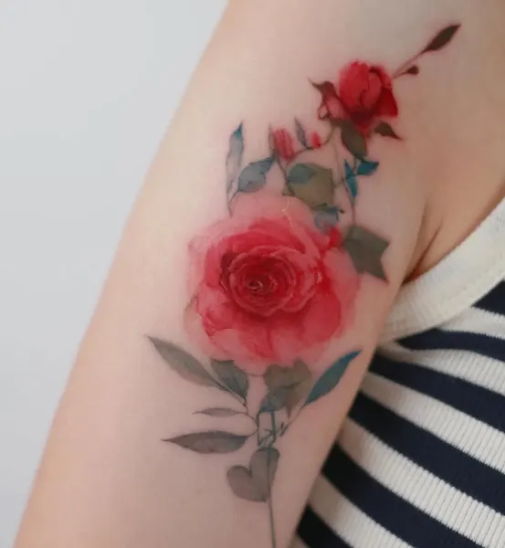 Rose, Flower, Nature