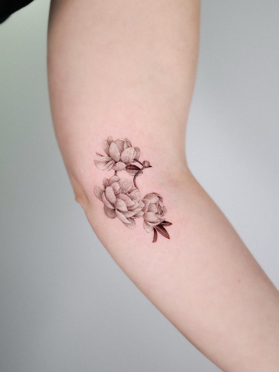 Rose, Flower
