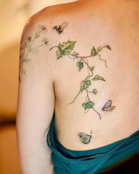 Flower, Nature, Rose