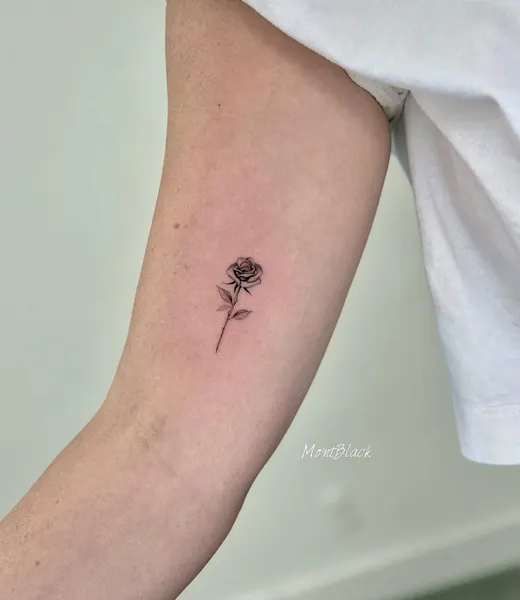 Flower, Rose