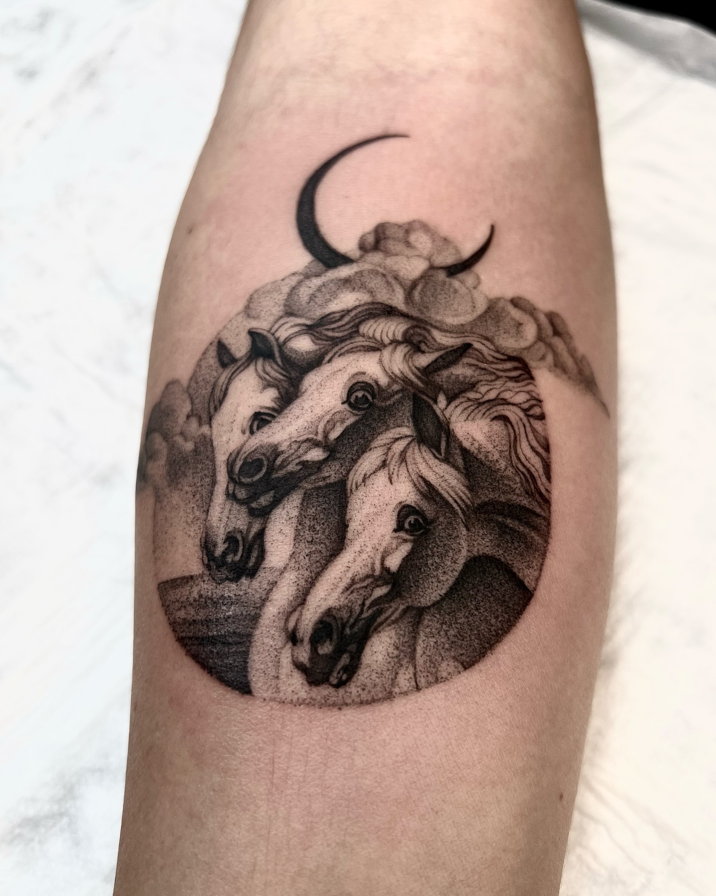makar.tatt