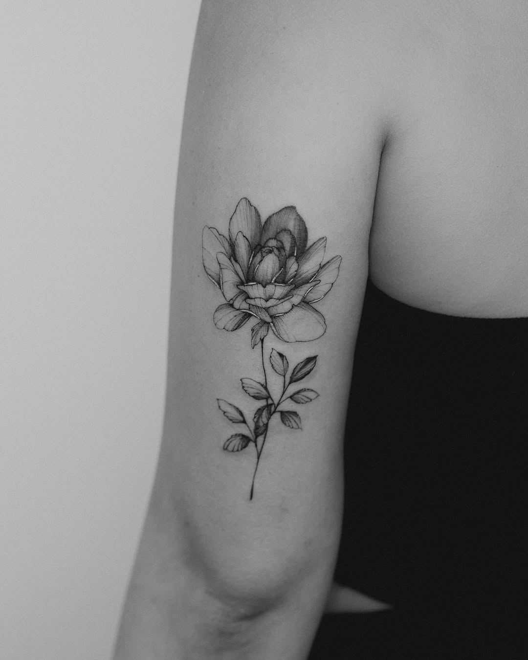 Flower, Rose