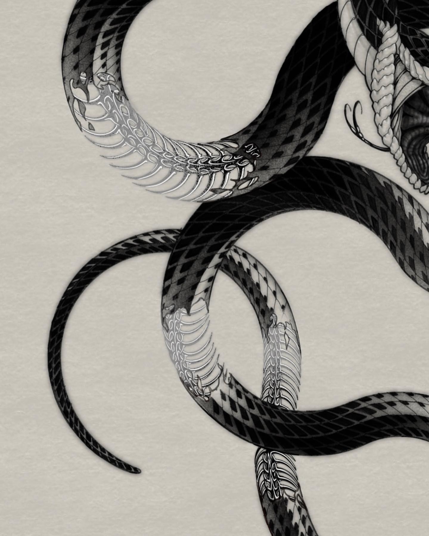 Snake, Dragon