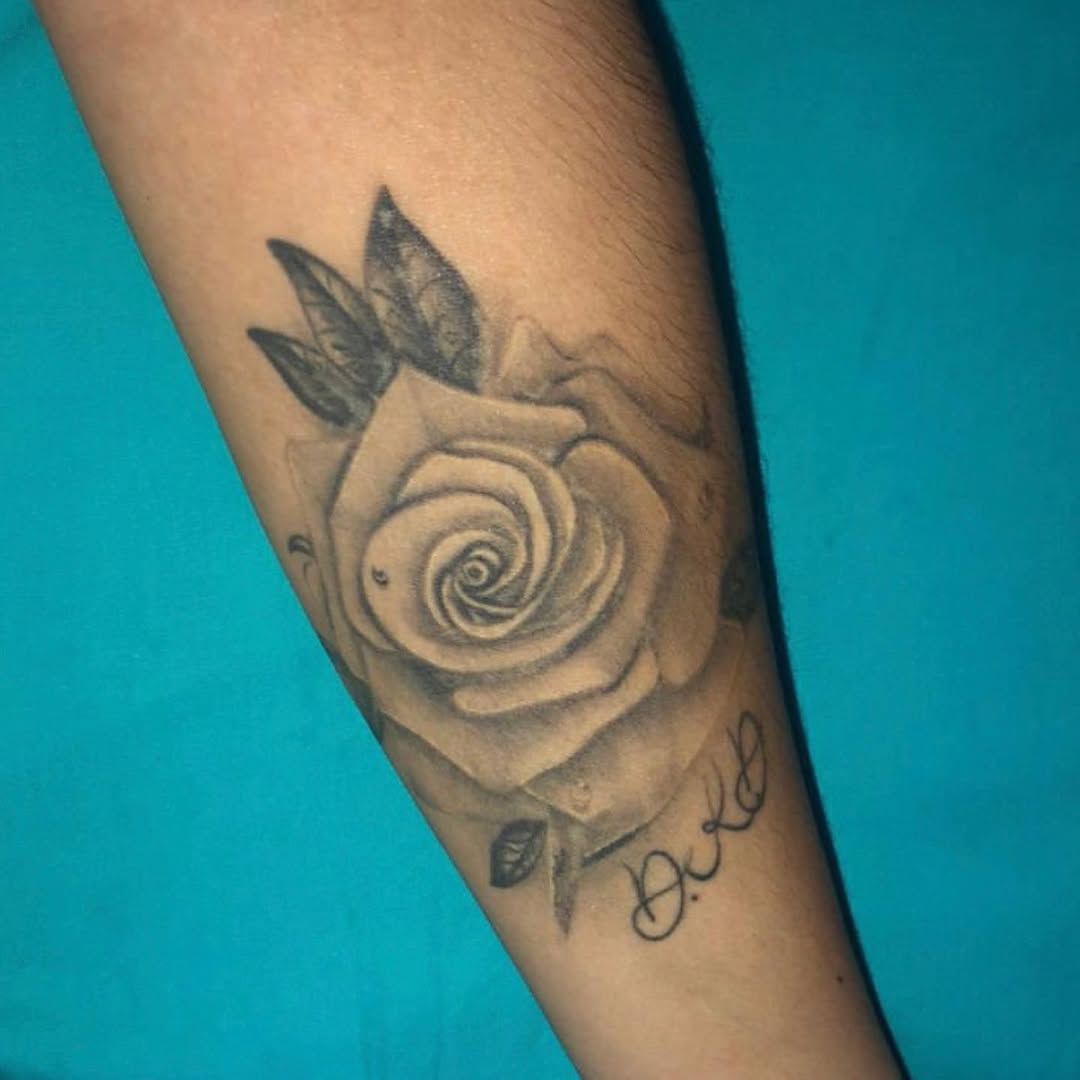 Flower, Rose
