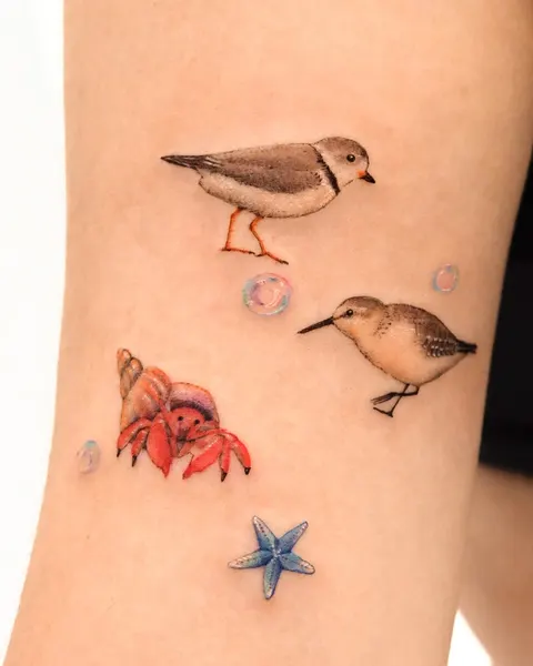 Animal, 토끼