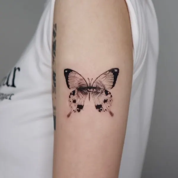 Animal, Nature